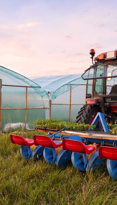 Trabajo agrícola en campo en Castellon Trabajo agrícola en campo en Castellon